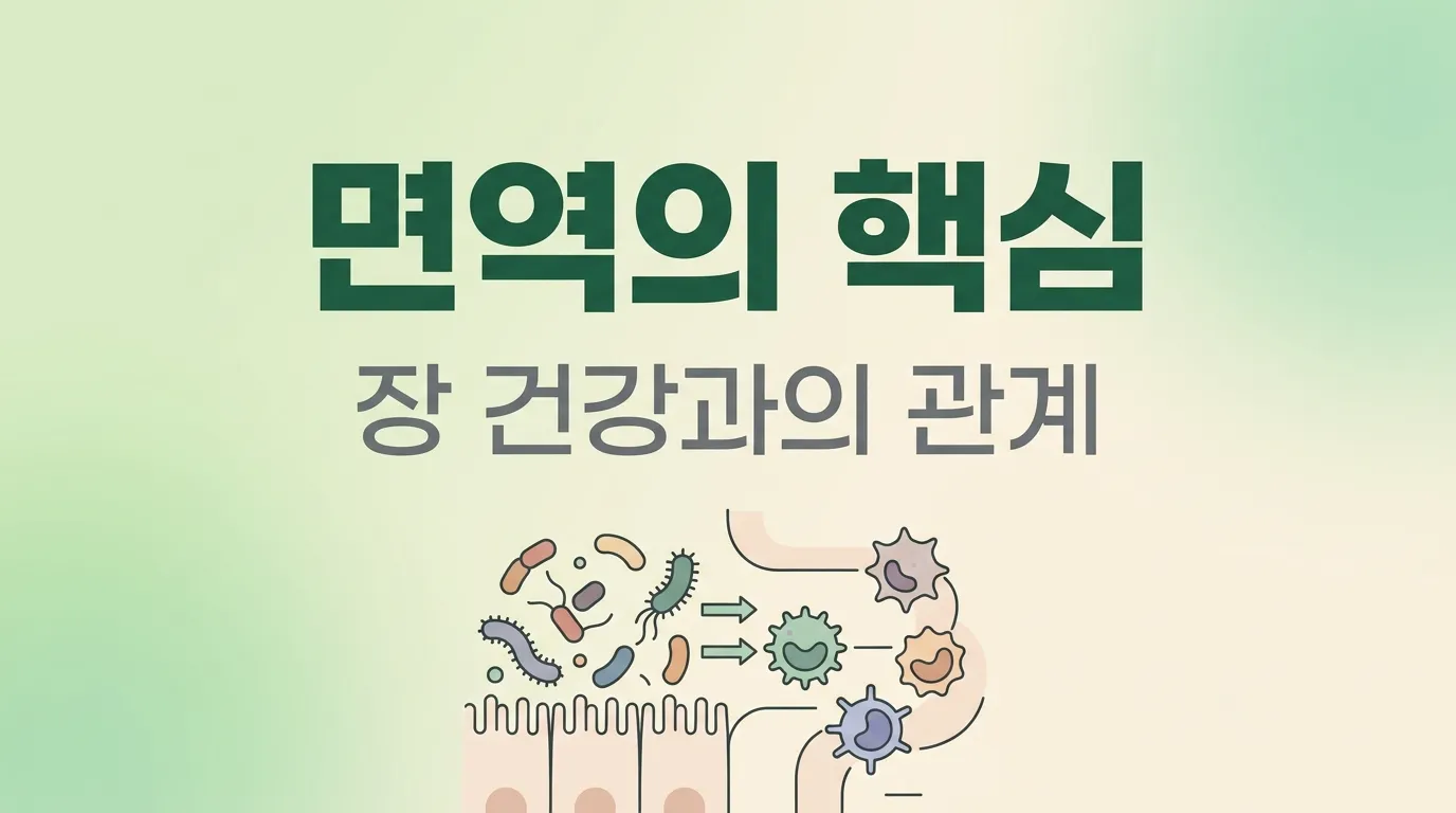 면역력의 핵심 – 장 건강과의 관계 (면역력 UP 시리즈 1부)