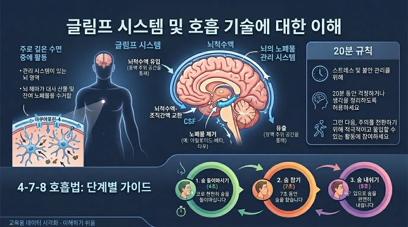 글림프 시스템과 4-7-8 호흡법 인포그래픽